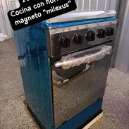 Cocinas de gas con horno de 4 y 6 hornillas - Img 56415422