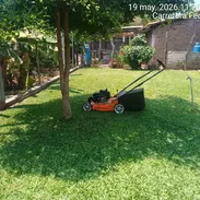 Servicios de Jardinería y Limpieza de exteriores - Img 55478081