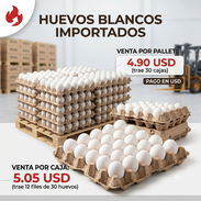 Huevos blancos importados - Img 57652627