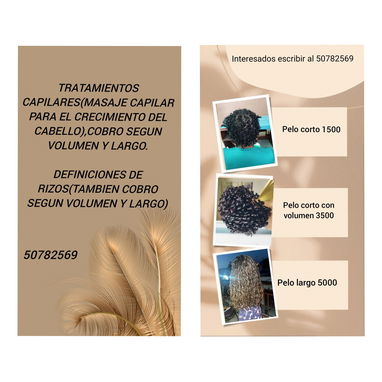 Disponibilidad y buenos precios - 4/4