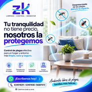 ZeniKlean: Control de plagas - Img 58211266