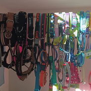 Collares para perros medianos y grandes - Img 58006778