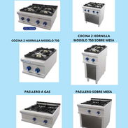 EQUIPOS INDUSTRIALES DE GASTRONOMIA - Img 55732115