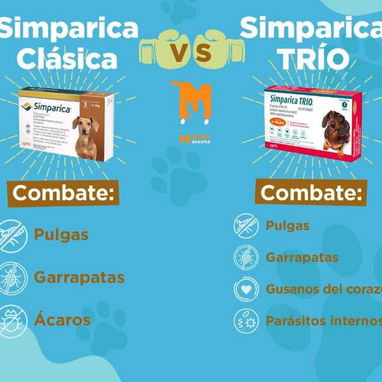 Simpárica Trío todos los pesos - Img 117234261