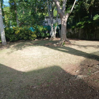 Servicio de jardinería 👩🏼‍🌾 - Img 127789641