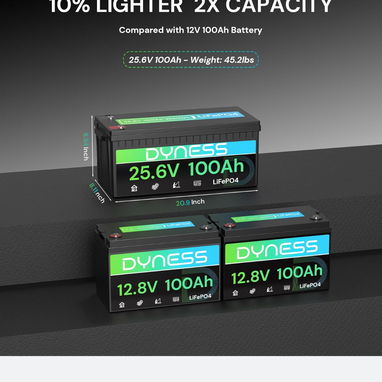 Batería LiFePO4 24V100Ah (2560Wh) Dyness con BMS 100A y Protección de Baja Temperatura - Ideal para Sistema Solar, RV y - 2/2