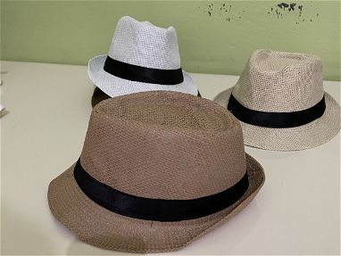 Sombreros panameños y otros - Img main-image
