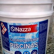 Pintura piscina - Img 58165674