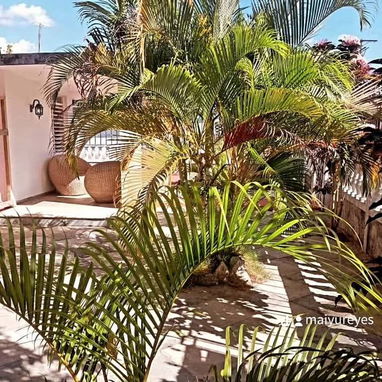 Casa de alquiler a playa larga - Img 127173071