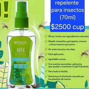 Repelente para insectos - Img 56255287