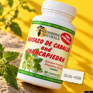 Chanca Piedra - Img 58171020