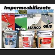 PINTURA 🎨 original 💯% - Img 55919446