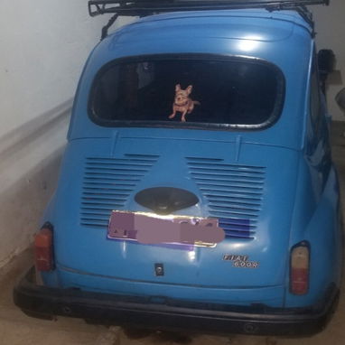Fiat 600r clásico de 1958 muy economico en el gasto de gasolina lo cambio por triciclo elect cerrado 53314059 Judith - Img 124598558
