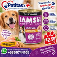 Comida de Perro IAMS - Img 57666402