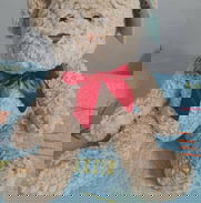 Oso de Peluche - Img 49342053