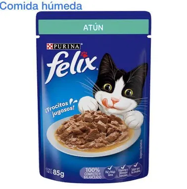 Comidas húmedas para y gatos . - Img 55436243