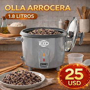 Arroceras - Img 54192931
