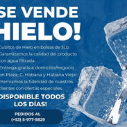 Bolsas de hielo - Img 57444814