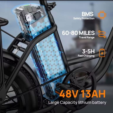 URLIFE E20 E-Bike 1000W 48V 13AH - 2/5