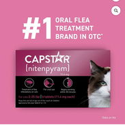 CAPSTAR PARA GATOS [ ELIMINA PULGAS 30 minutos] - Img 51808402