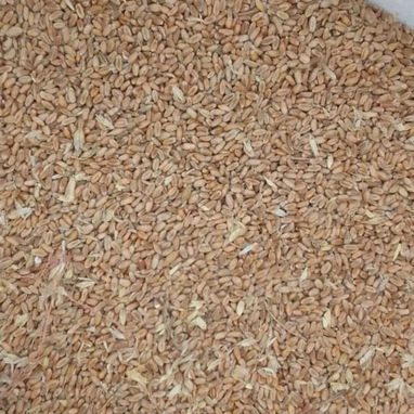 Vendo piensos para puercos y gallinas ponedoras - Img 124638422