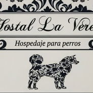 🐾 Hostal La Vereda 🐾 - Img 56017209