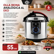 Reina Analógica de 6L - Img 56292220