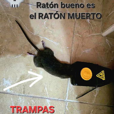 TRAMPAS RATONERAS GUILLOTINA SENSIBLES Y EFICIENTES - Img 105223774