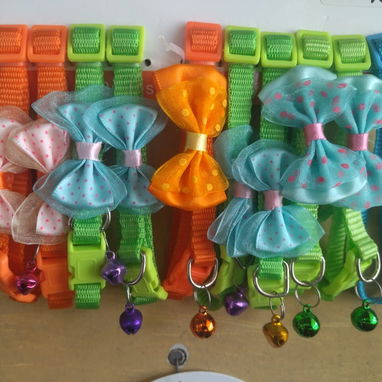 Correas y collares !! - Img 121578093