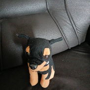 vendo estas cositas - Img 56756570
