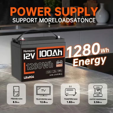Humsienk Batería LiFePO4 12V 100Ah, Nueva en su caja sellada. Entrega de Factura para su Garantía. Variedad de Productos - 3/5