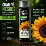CHAMPU PROTECCION COLOR, NATURVITAL, CABELLOS NEGROS, 300ML - Img 52513688