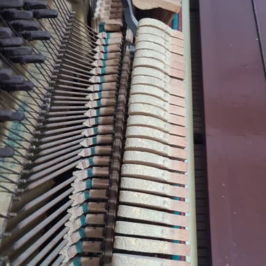 Piano de estudio vertical - Img 126186009