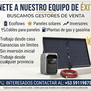 Buscamos gestores para venta de Ecoflow, Paneles, Inversores - Img 56614731