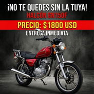 🔥 ¡DISPONIBLES PARA ENTREGA INMEDIATA! 🏍️ Motos Halcón GN150F 0KM - $1800 USD 💵 NUEVO PRECIO🚀 - Img 53795084