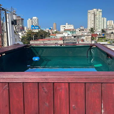¡Oportunidad en el corazón del Vedado! 🏡 - 5/10