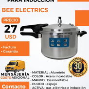 OLLAS DE PRESIÓN PARA INDUCCIÓN 5L - Img 58416400