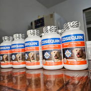 Glucosaminas para perros. - Img 48352123