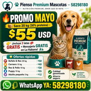 🐾 Pienso Premium + Latas GRATIS – 58298180  (Kinetica) - Img 55321103