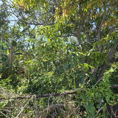 Terreno en celimar - 5/6