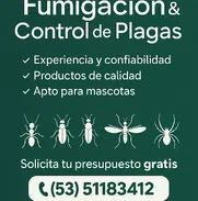 Servicio de fumigación - Img 50146385