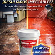 Pintura de todo tipo - Img 55672849