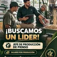 Buscamos jefe de producción de pienso en una finca en La Lisa - Img 57589726