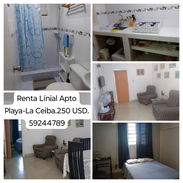 APTO EN PLAYA A UNA PARADA DE LA CEGUERA Y HOSPITALES PEDIATRICO Y MATERNO - Img 55567237