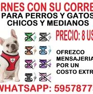 ARNÉS CON SU CORREA PARA PERROS Y GATOS. TENEMOS MENSAJERIA POR UN COSTO ADICIONAL - Img 50320949
