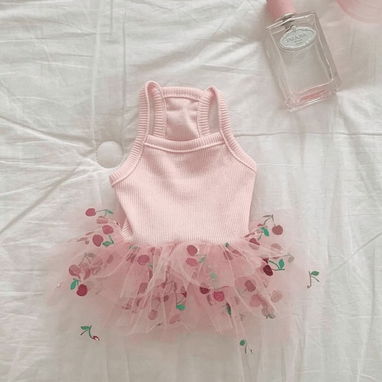 Ropa para perros - 7/9
