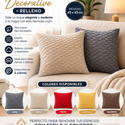 Cojin decorativo + relleno (CV) - Img 54811822