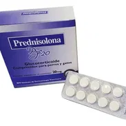 Prednisolona en tableta para perros y gatos - Img 53918491