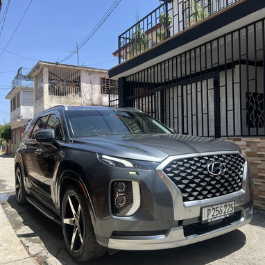 Hyundai palisade 2021 galifrafi - 2/3
