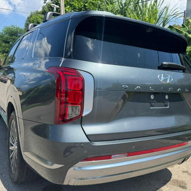 Hyundai Palisade 2024 calligraphi - Img 106076781